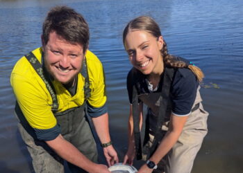 25,000 catfish relocated in Victoria