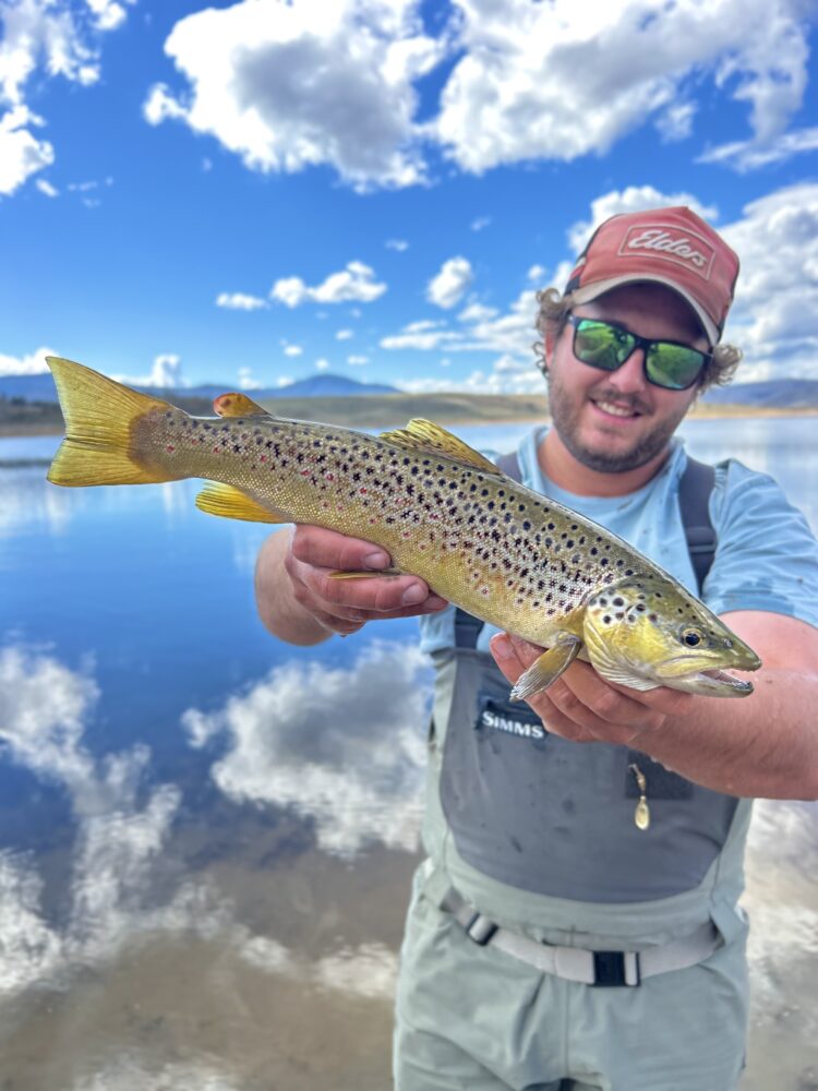 Bayer Big Fish Challenge 2025