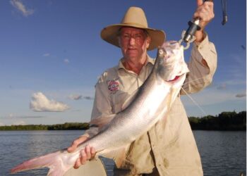 West Coast Cape York