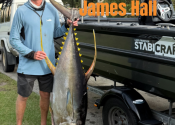 PODCAST: Solo yellowfin