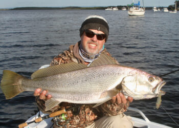 Bait vs lure fishing