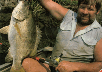 Reflections of an unfinished life