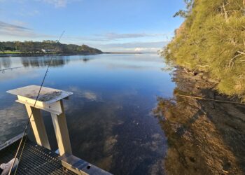 Open and shut case – a guide to fishing “ICOLLs”