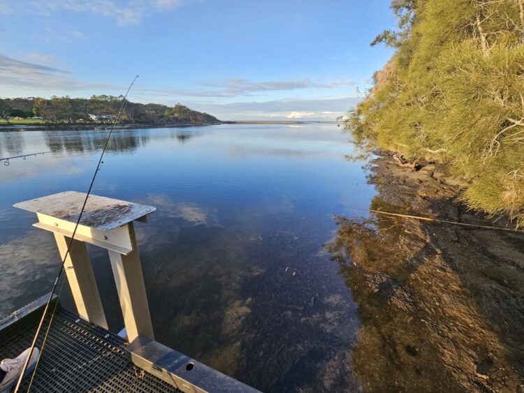 Open and shut case – a guide to fishing “ICOLLs”