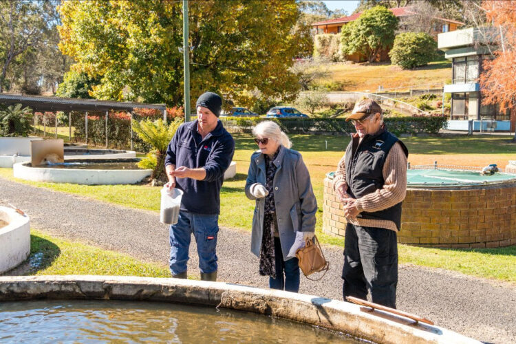 Dutton Trout Hatchery re-opens to visitors