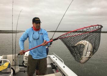 Gold Coast Flathead Classic – Register to win!