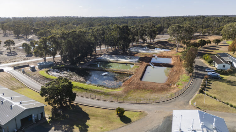 New ponds for Macquarie perch breeding at Narrandera