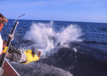 The Underwater Wiremans Club