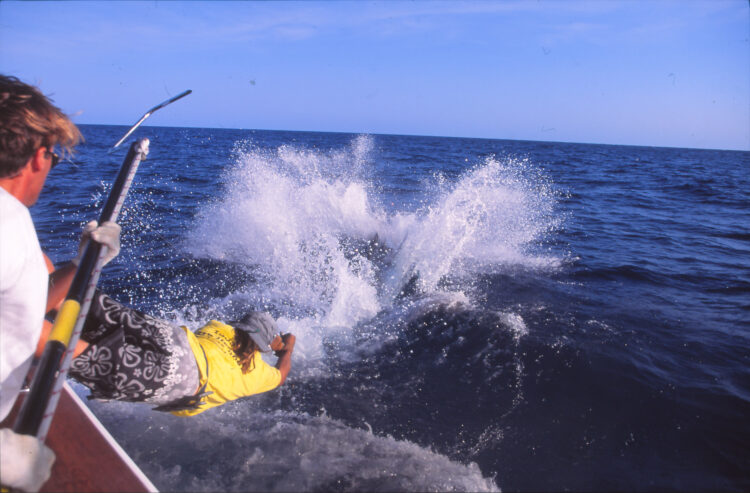The Underwater Wiremans Club