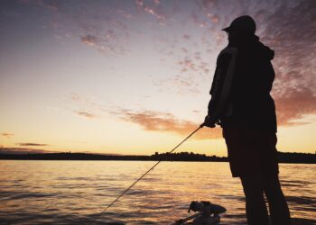Government commits $1 million to establish independent NSW rec fishing peak body