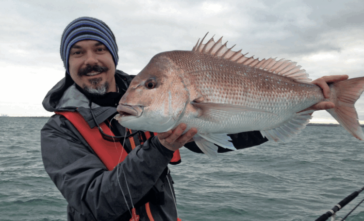 Melbourne snapper