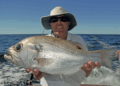 Winter offshore fishing in Queensland