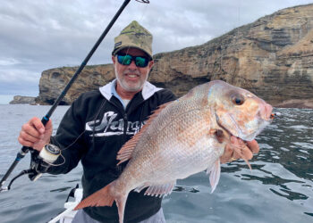 Inshore winter snapper