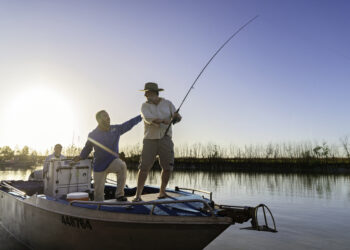 Registrations open for Million Dollar Fish Season 11