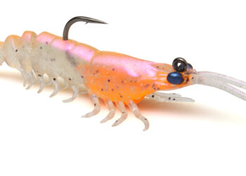 ZMan 2.5” and 3” PrawnZ Elite