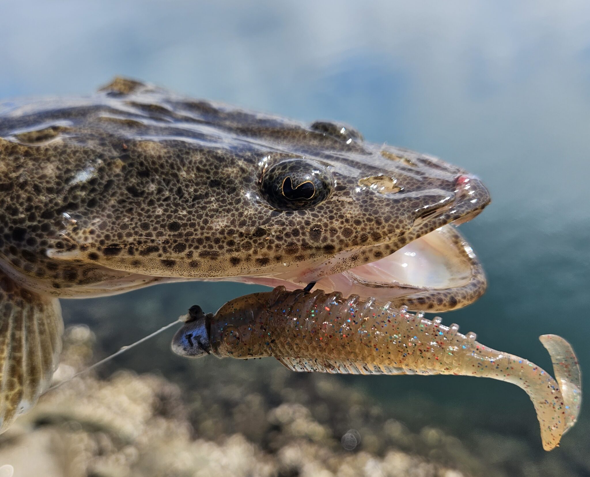Springtime on the coast - Fishing World Australia