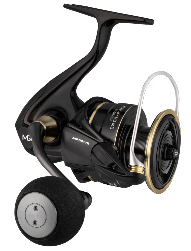 Daiwa 25 Revelry