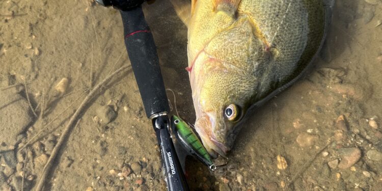 Fresh start to spring