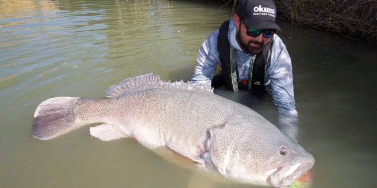 Murray Codference is back