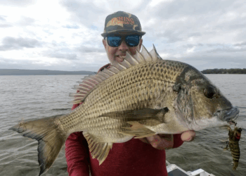Bream Lessons