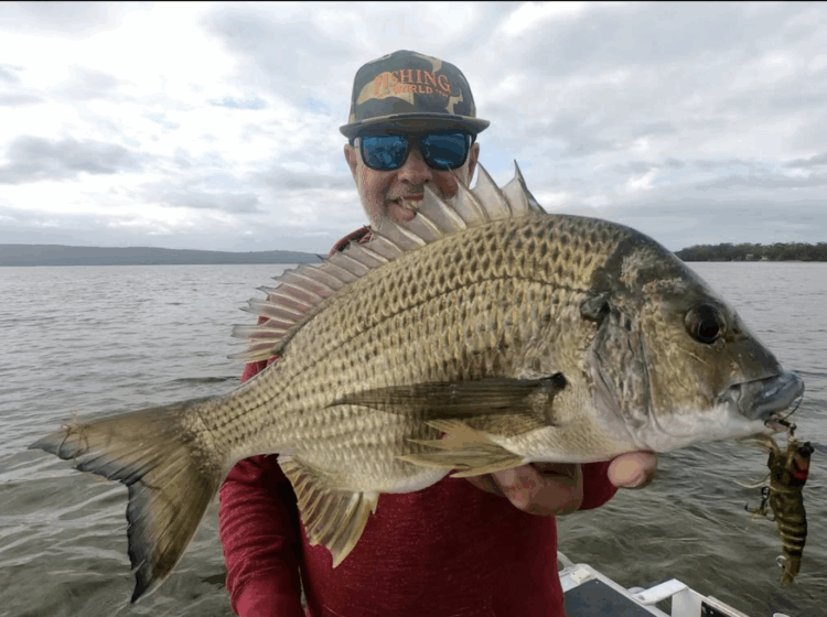 Bream Lessons