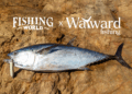Wayward x Fishing World
