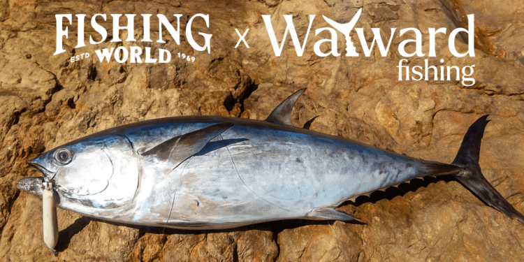 Wayward x Fishing World