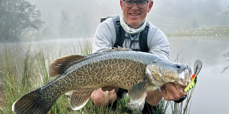 The mighty Murray cod