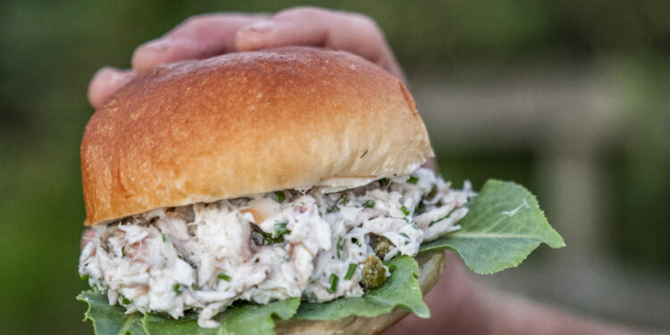 COBB Grill’d Fish Wing Summer Burger