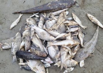 New project focuses on water quality