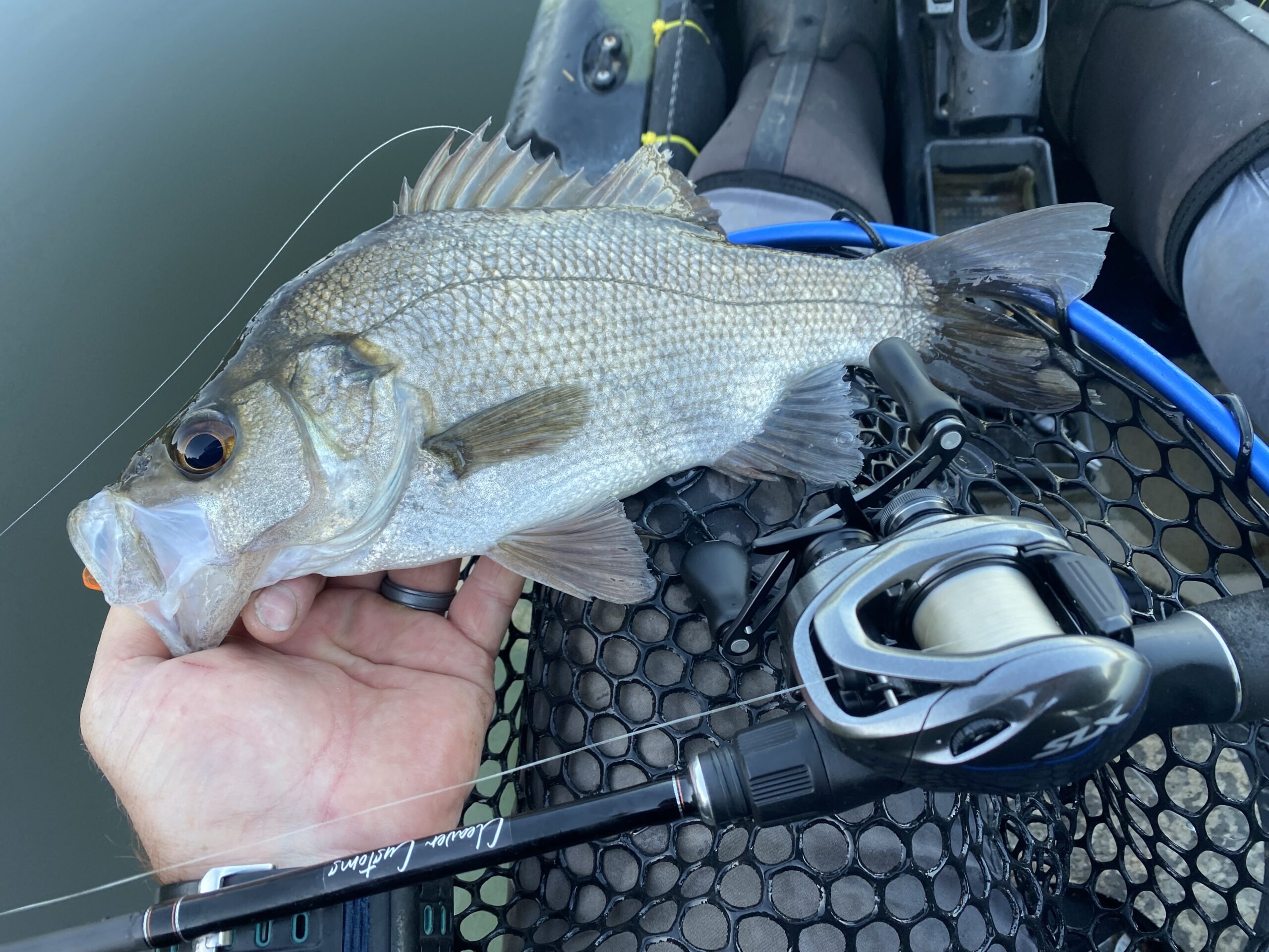 Shimano SLX BFS A XG review - Fishing World Australia