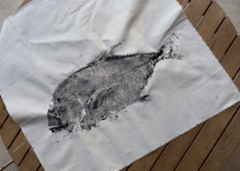 By Hol and Joe – Gyotaku Printing Kit review