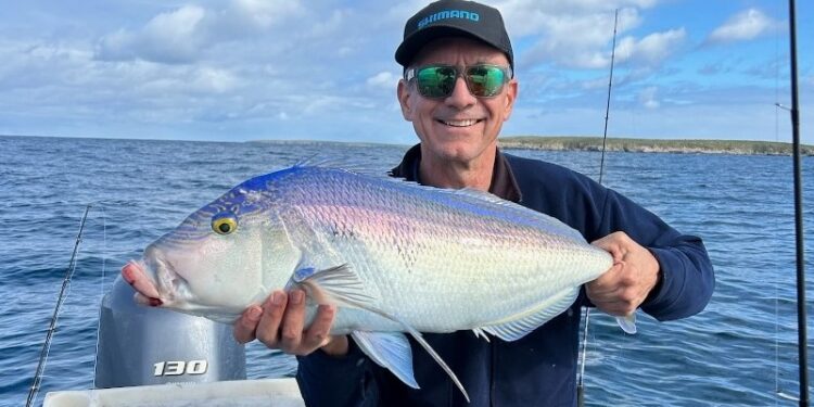 AFTA launches “Let’s Fish, South Australia”