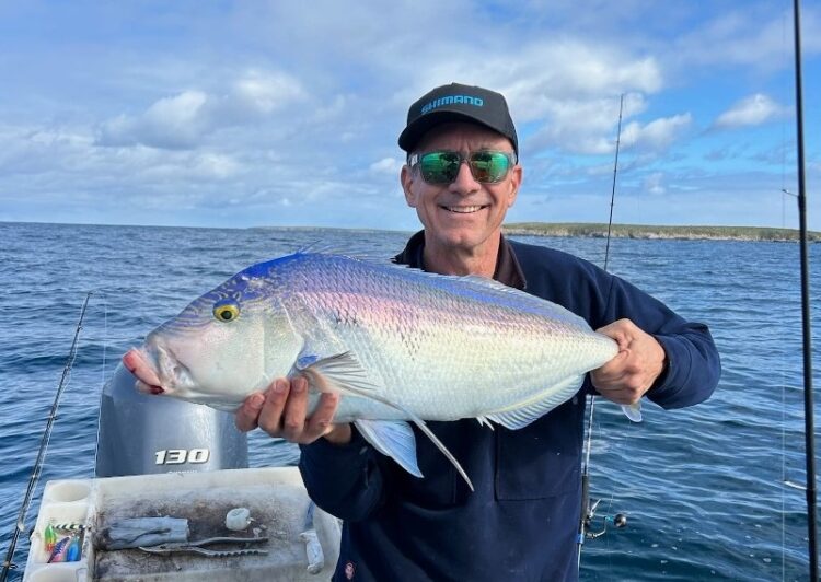 AFTA launches “Let’s Fish, South Australia”