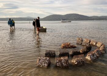 Grants awarded for fish habitat in Victoria