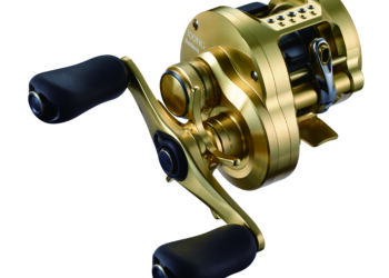 Calcutta Conquest 100 & 200