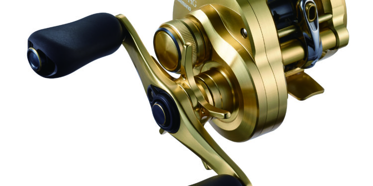 Calcutta Conquest 100 & 200