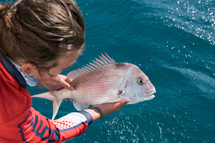 Major fishing closures announced for Western Australia