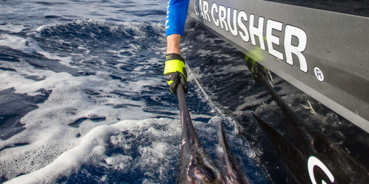 Boating summer school