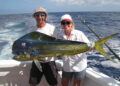 The mahi mahi mystery