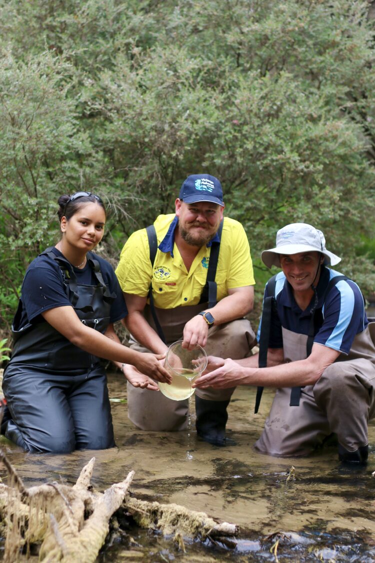 Rare mussels stocked in world first
