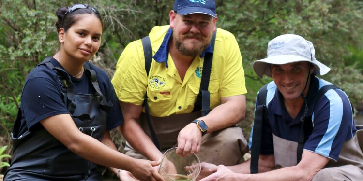 Rare mussels stocked in world first