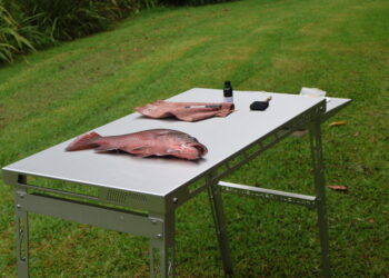 Stratus Outdoors “Big D” table