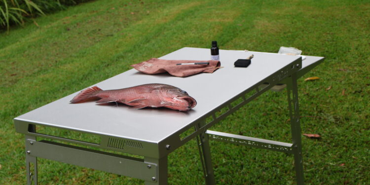 Stratus Outdoors “Big D” table