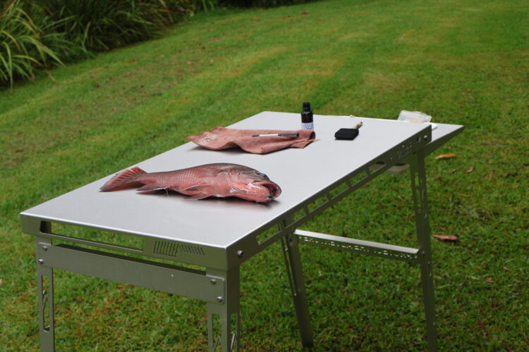 Stratus Outdoors “Big D” table