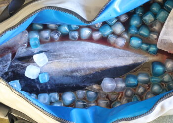 Free Flo – Fro Freeze Cubes review