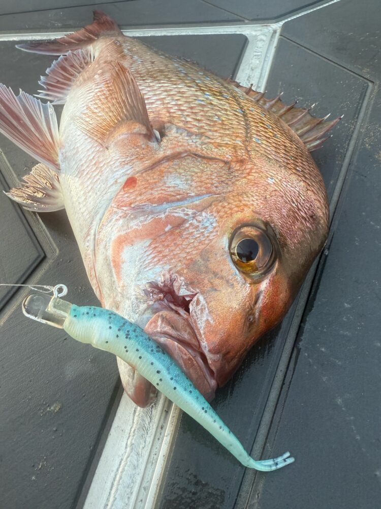 Glasseye Lures review