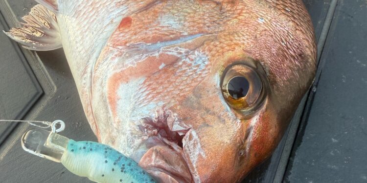Glasseye Lures review