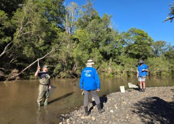 OzFish volunteers unite to restore the Richmond