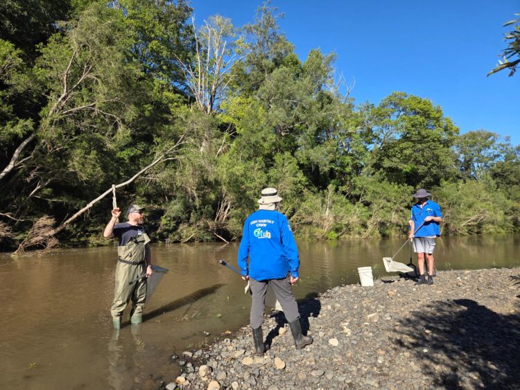 OzFish volunteers unite to restore the Richmond